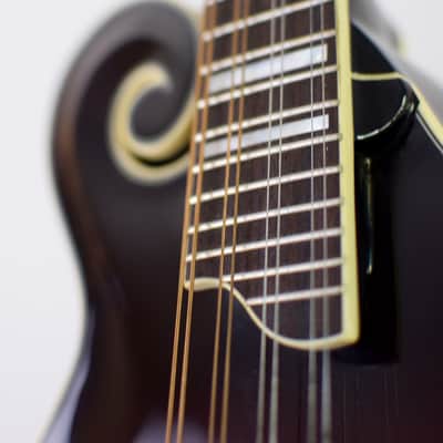 Kentucky KM805 Artist-F Vintage Amber Burst image 5