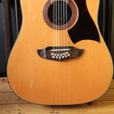 1978 Eko Rio Bravo 12 (Best Around) + Pro Setup + TKL Case (#32) image 17