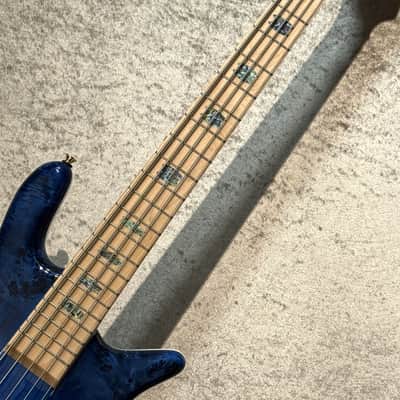 Spector Euro 5 CST Black & Blue w/White Back Gloss [3.98kg] image 8