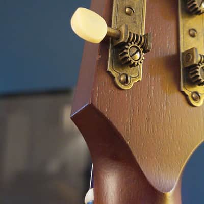 Iris CH 2024 with LR Baggs Anthem pickup - Natural Mahogany image 7