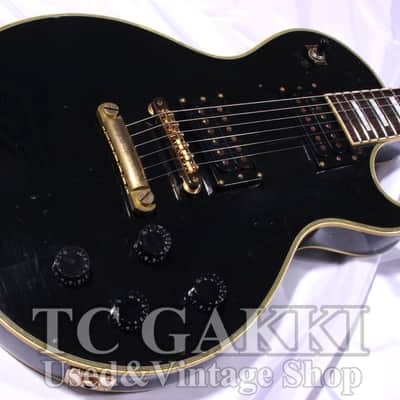 Edwards Elp 85 C image 2
