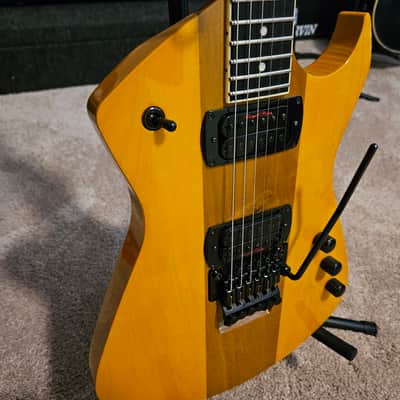 Floyd Rose Redmond Seattle Prototype image 2