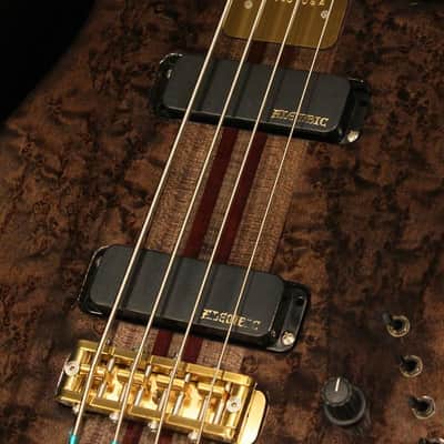 ALEMBIC USED ​​Used Europa 4 (Birdseye Maple Top / TBK) '19 image 3