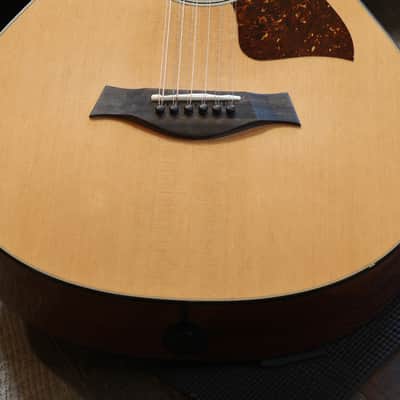 Minty! 2019 Taylor 552ce 12 String Red Cedar Mahogany Acoustic Guitar Natural + OHSC image 5
