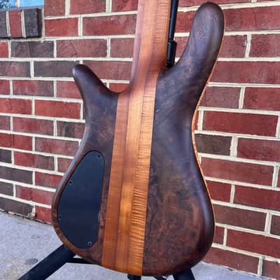 Spector USA NS-5XL, Figured Chestnut Top, Figured Walnut Body, Oil Finish, 3pc Roasted Maple Neck, Ebony Fretboard, Roasted Maple Ghost Crowns, EMG40DCX Pickups, HAZ 9-volt Preamp, Dunlop Flush Mount Strap Locks, Hipshot Tuners, TSA Case image 11
