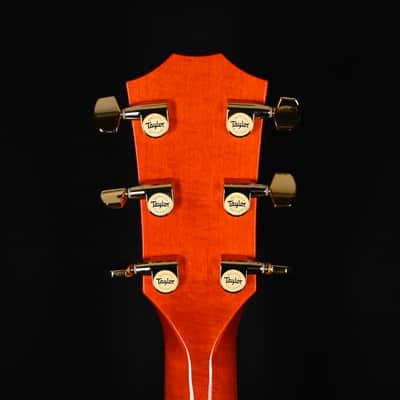 Taylor Doyle Dykes Signature Model w/ Sitka Spruce Top & Big Leaf Maple Back and Sides Acoustic/ Electric- Translucent Orange 2026 (1203066085) image 7