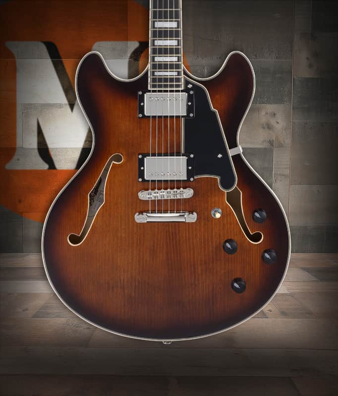 D'Angelico Premier DC with Gig Bag - Brown Burst (DAPDCBRBNS) image 1