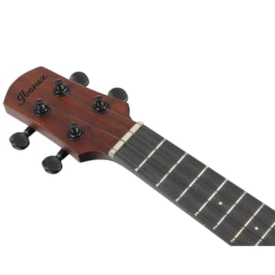 Ibanez AUC14-OVL Concert Ukulele - Concert Ukulele image 6