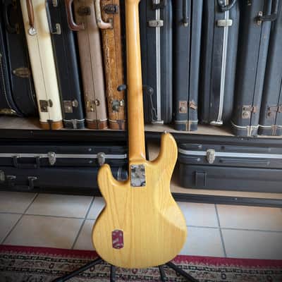 1992 Ernie Ball Music Man StingRay with Maple Fretboard and original Tolex case image 11