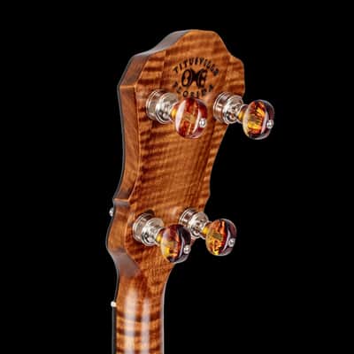 OME Ikon Resonator Banjo | JLS Tone Ring, High-Gloss image 6