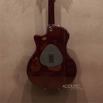 Taylor T5 Pro – Borrego Red 2013 image 2
