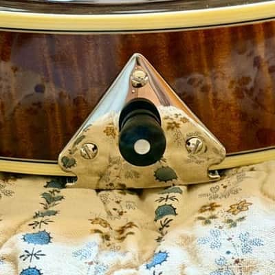 Collings MF5 Mandolin (NAMM Show 2024) image 4