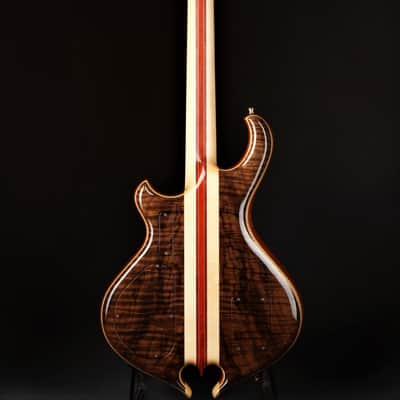 Alembic Darling - Fancy Walnut/Demo image 4