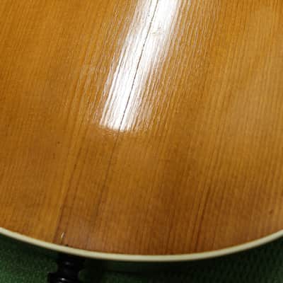 Vintage Gibson L3 Standard w/ Spruce & Birch Pre-Owned 1907 image 13