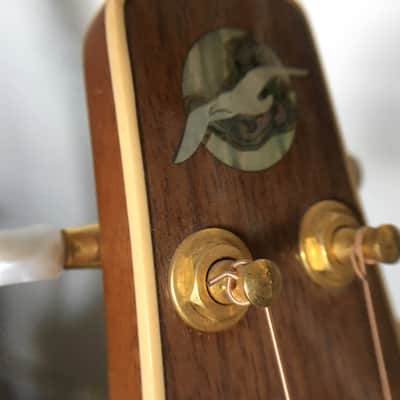 Seagull Artist Portrait CW Early 2010's High Gloss image 3