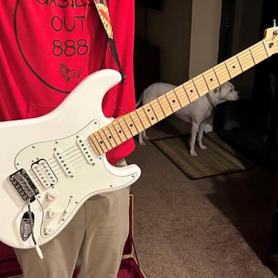 Fender Player Stratocaster HSS with Maple Fretboard 2018  Polar White with case and strap shown in pictures included image 7
