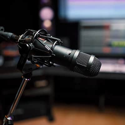 Lauten Audio LS-208 Large Diaphragm Cardioid Condenser Microphone image 1