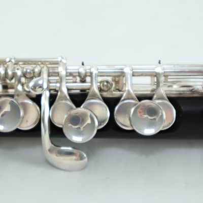 Braun Handmade Grenadilla Piccolo SN 410 OUTSTANDING image 11