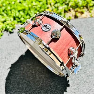 DW collector’s Purple core hybrid shells 2025 - 14x6,5 image 5