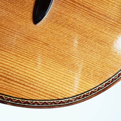 Rare Ecuadorean Bandolin, Bandolim, Mandolin, Cittern, 15-Strings, For Repair image 6