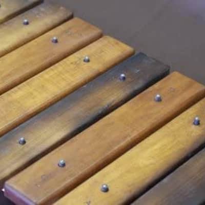 Hugh Tracey amadinda de 12 notes, Balafon, African Xylo - image 4