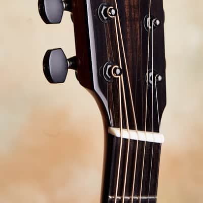 Linda Manzer Fanfret Baritone Acoustic image 14