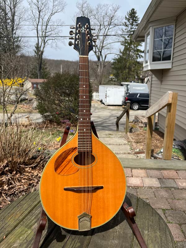 Trinity College Mandola lefty conversion 2010-2015 - Natural image 1