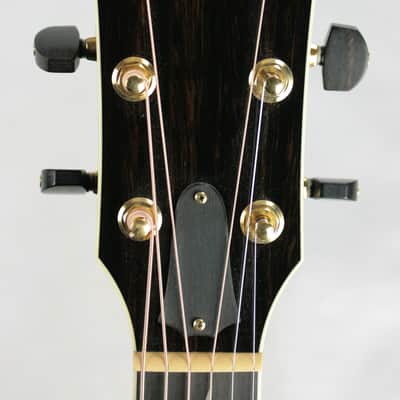 MINT 2000 Taylor GSLJ Living Jewels Aqua Blue Koi Fish Guitar! Bearclaw Quilted GS image 8