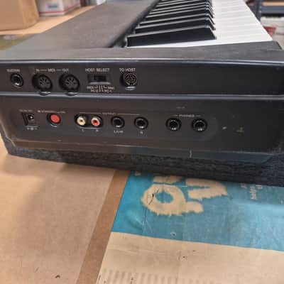 Yamaha 88 weighted keys piano organ rhodes P-80 image 7