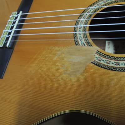 andalusia AG-6 G Guitare classique electro acoustique pan coupé Style Espagnole image 12