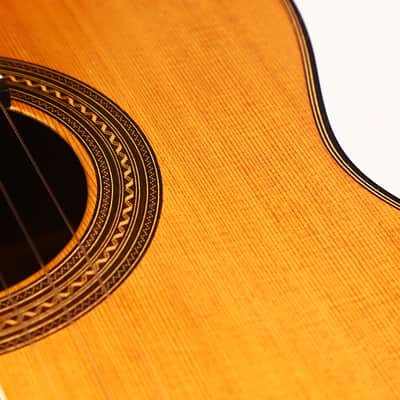 Daniele Chiesa 2021 Classical Guitar - Modern Granada tradition with exceptional depth of sound and expressiveness - check Video! image 15