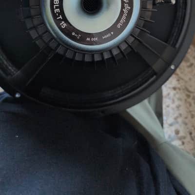 Eminence speaker Double T15 300W 4Ohm cab Gallien Krueger 16kg image 7