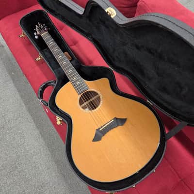 Breedlove Focus Acoustic Electric with Case 2001 - Natural image 1