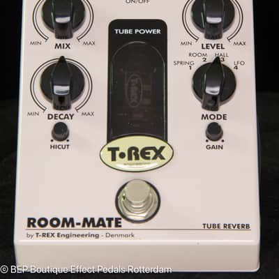 T-Rex Room-Mate 2010s s/n RM5012 image 4