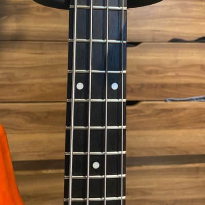 Spector Q4 Pro Heavily modified image 6