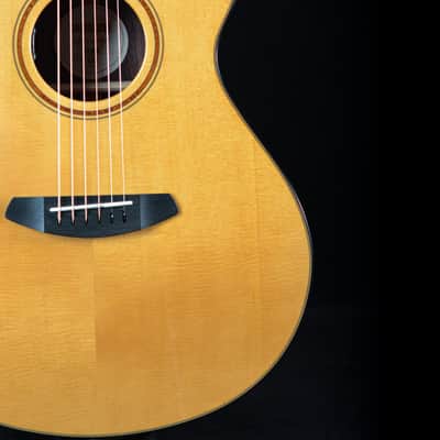 Breedlove  Roots Series RTC-SRce - Sitka Spruce/Indian Rosewood 2026 - Vintage Toner Gloss image 5