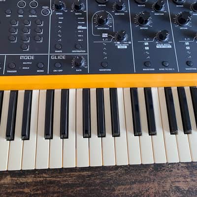 Studiologic Sledge 2.0 Polyphonic Virtual Analog Synthesizer Yellow / Black image 3