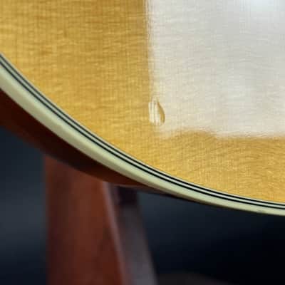 Used 2002 Gibson Chet Atkins SST w/case TSU24947 image 13