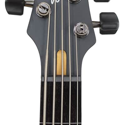 Ibanez Bass GWB205-TQF Gary Willis Fretless 5 image 5