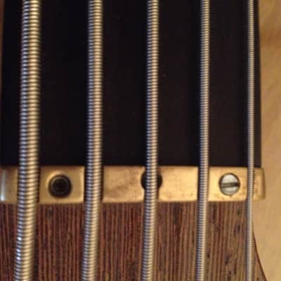 Alembic Epic 5 string Left Hand Bass Natural Wood Finish image 9