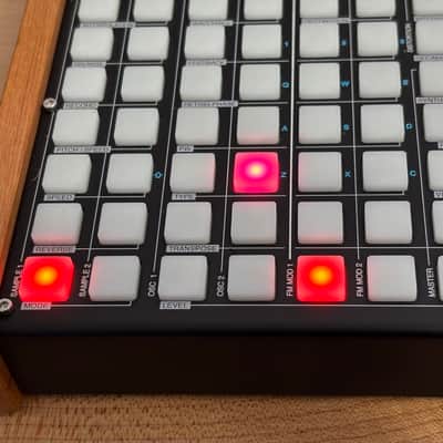 Synthstrom Deluge - OLED display - with case image 8