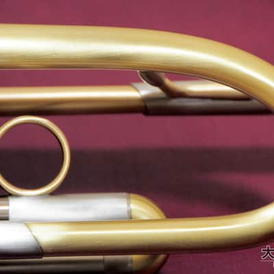 LOTUS Lotus LEAD/SOLO Brushed Lacquer (New) B♭ Trumpet image 11
