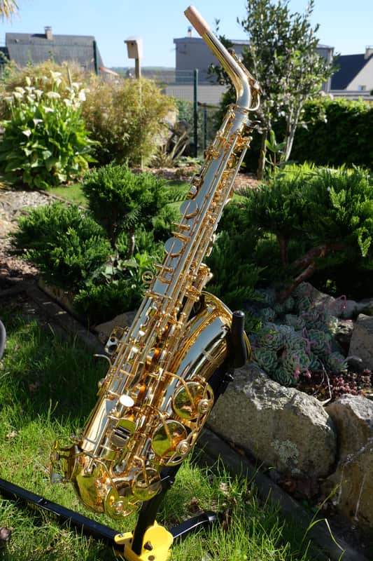 saxophone alto Brass Sound Creation image 1