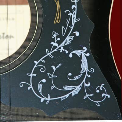 Glen Burton GA204BCO-BK  Cutaway Acoustic Electric Guitar image 9