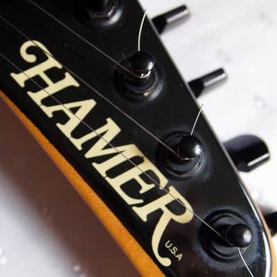Hamer  Californian Deluxe Custom Order-1994 image 14