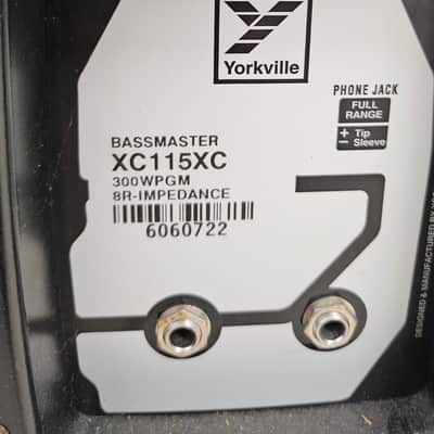 Yorkville Bassmaster XM200TC with Bassmaster XC115XC image 13