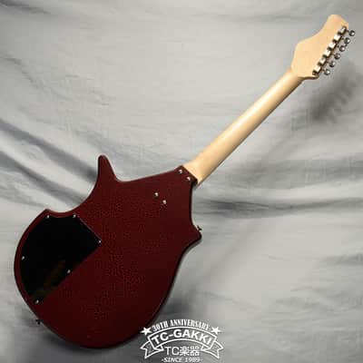 JERRY JONES GUITARS Electric Sitar image 8