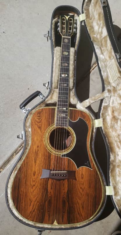 K Yairi YW800G 1977 Brazilian Rosewood image 1