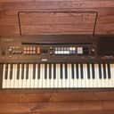 Casio CT-401 Casiotone 49-Key Synthesizer 1979. With music stand. Perfect operation. Classic Yacht Rock sounds.