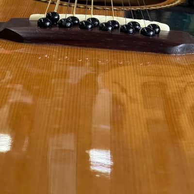 Washburn D10S12 12-String Acoustic Guitar w/ Fender Hardshell Case – Very Nice image 6